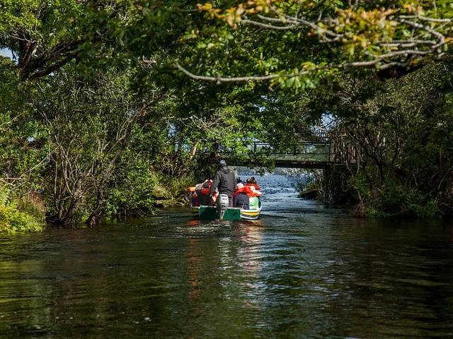 Tour boat navigating a narrow waterway surrounded by lush green trees toward a wooden footbridge