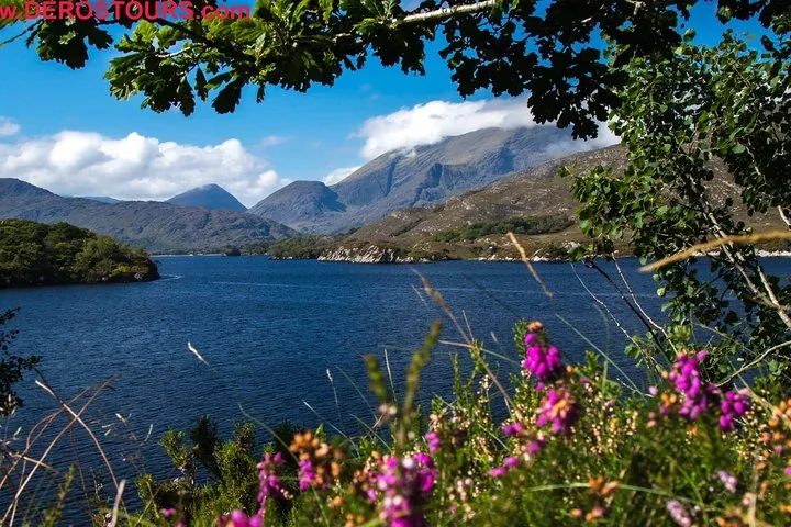 Scenic view of mountains across a blue lake framed by purple flowers and foliage